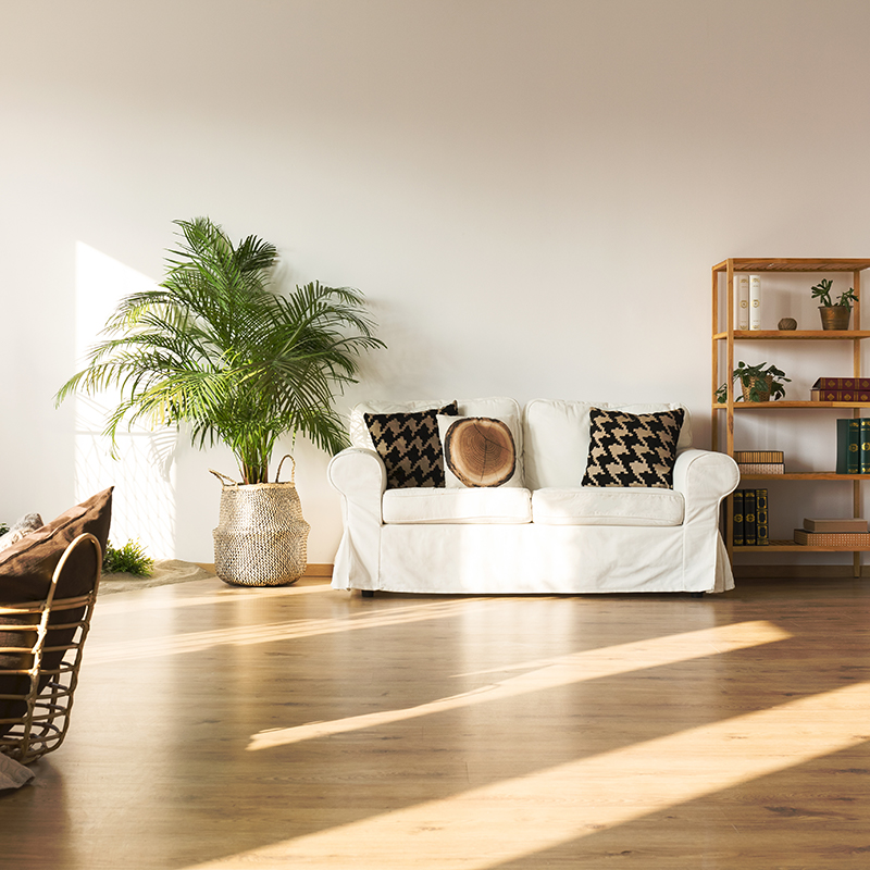 Living Areas